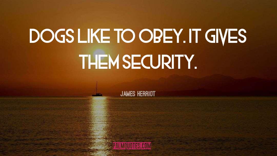 James Herriot quotes by James Herriot
