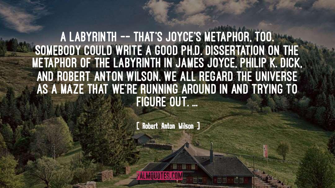 James Joyce quotes by Robert Anton Wilson