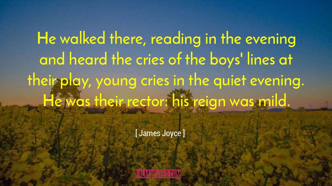 James Joyce quotes by James Joyce