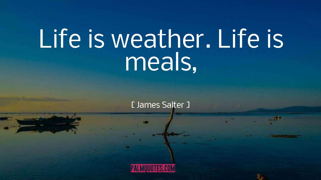 James Salter quotes by James Salter