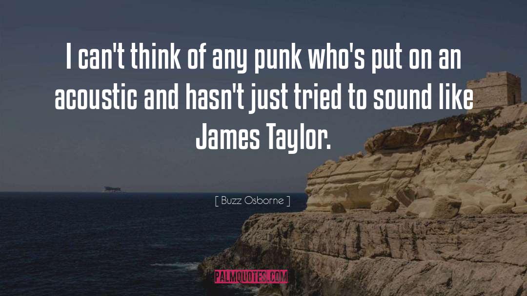 James Taylor quotes by Buzz Osborne