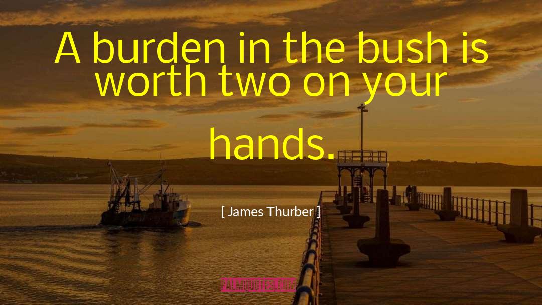 James Thurber quotes by James Thurber