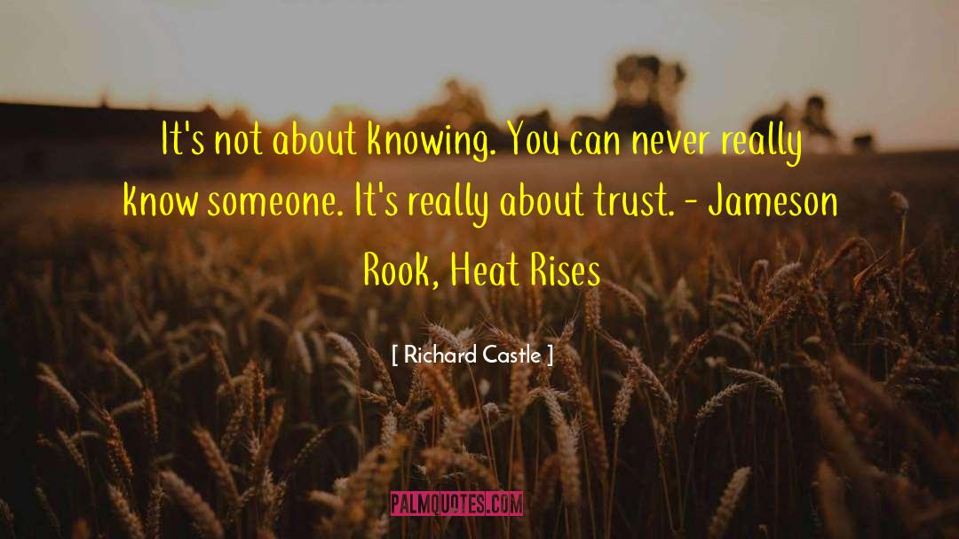 Jameson Rook quotes by Richard Castle