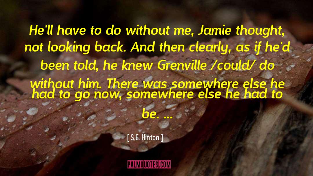 Jamie Babcock quotes by S.E. Hinton