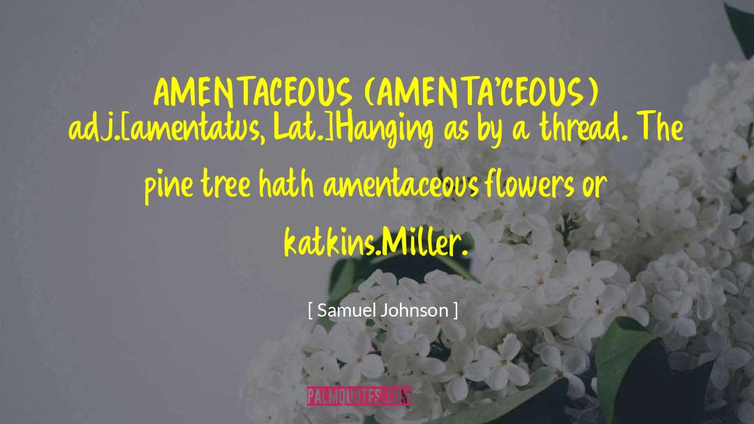Jamie Miller quotes by Samuel Johnson