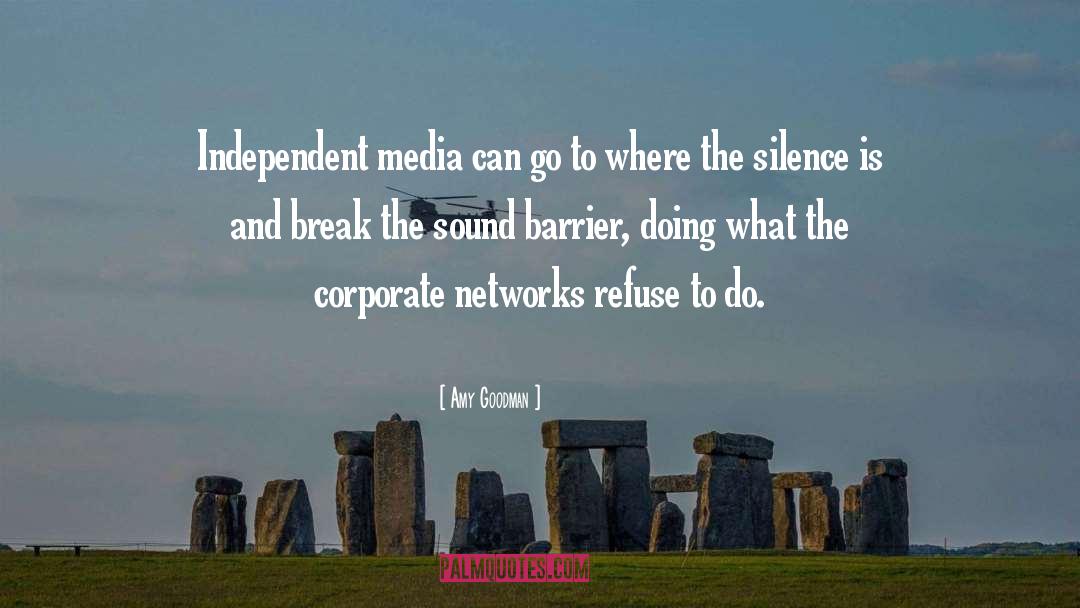 Jammed Networks quotes by Amy Goodman