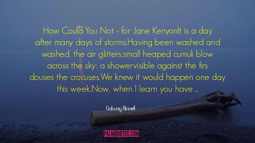 Jane Grey quotes by Galway Kinnell
