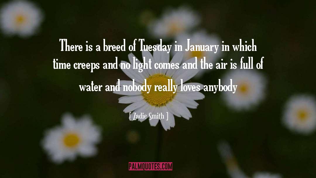 January quotes by Zadie Smith