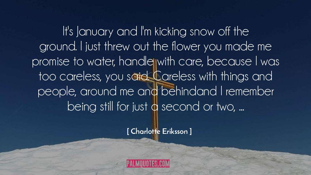 January quotes by Charlotte Eriksson