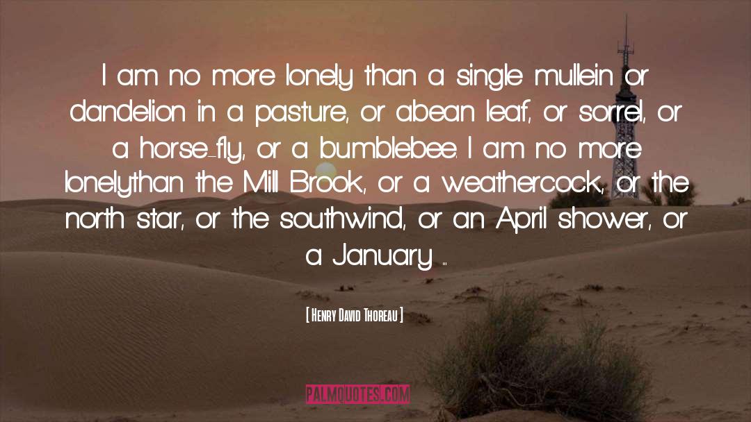 January Valentine quotes by Henry David Thoreau