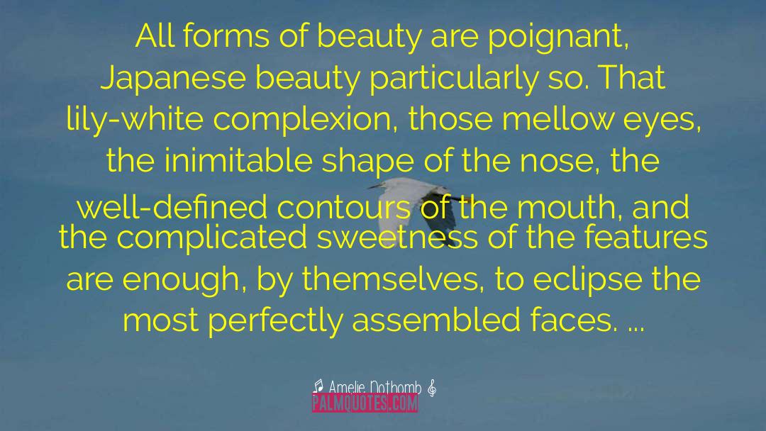 Japanese Cuisine quotes by Amelie Nothomb