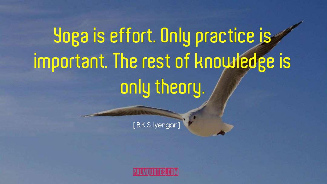 Japanese Yoga quotes by B.K.S. Iyengar