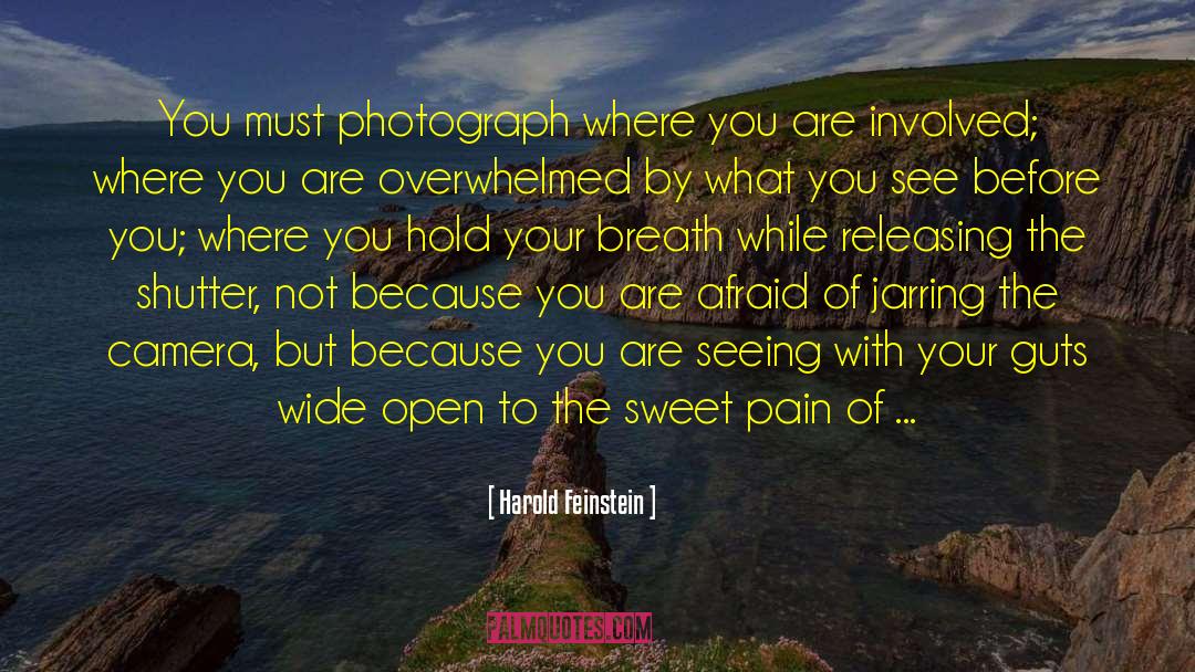 Jarring quotes by Harold Feinstein