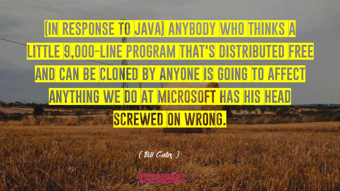 Java Parameters quotes by Bill Gates