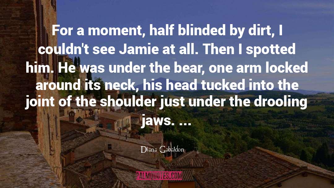 Jaws quotes by Diana Gabaldon