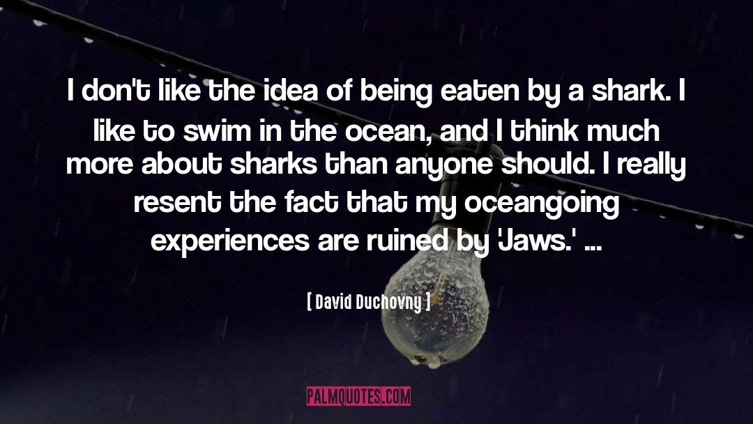 Jaws quotes by David Duchovny