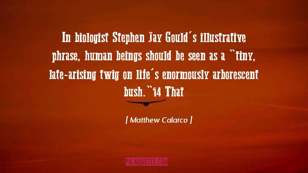 Jay Halstead quotes by Matthew Calarco