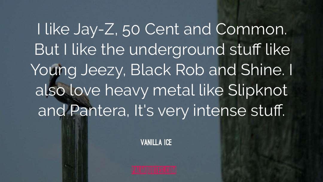 Jay Z Brooklyn quotes by Vanilla Ice