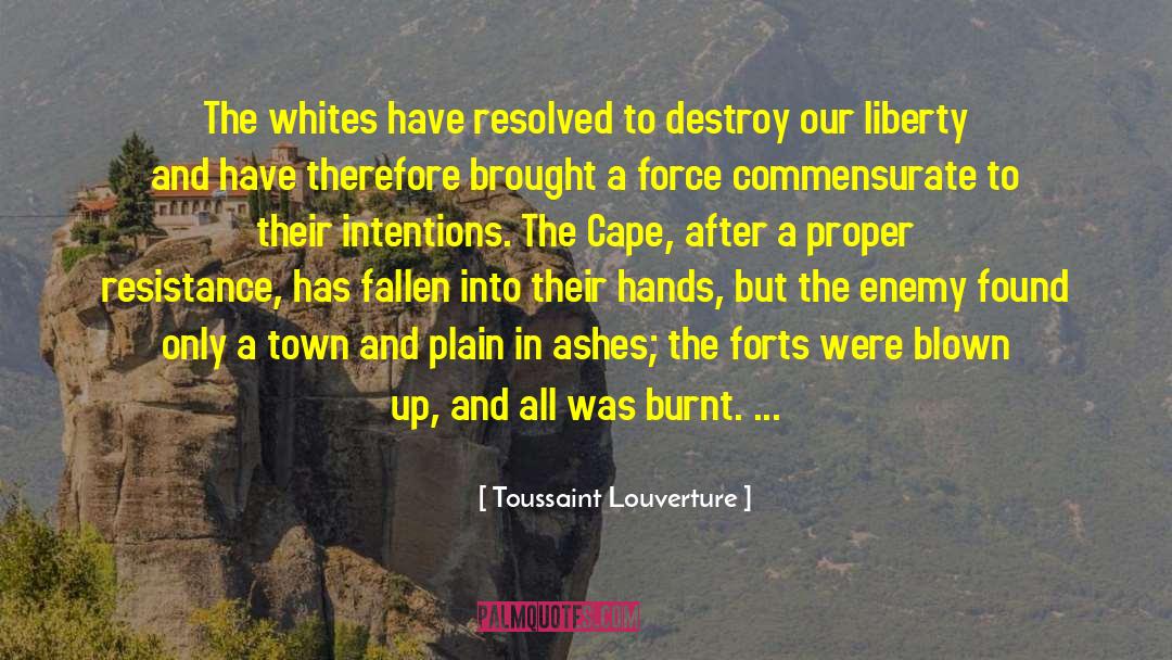 Jayleigh Cape quotes by Toussaint Louverture