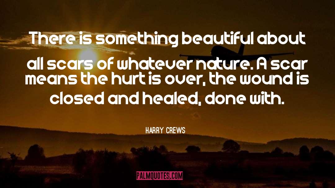 Jazz Inspirational quotes by Harry Crews