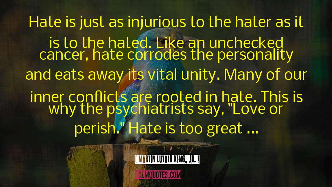 Jealous Hater quotes by Martin Luther King, Jr.