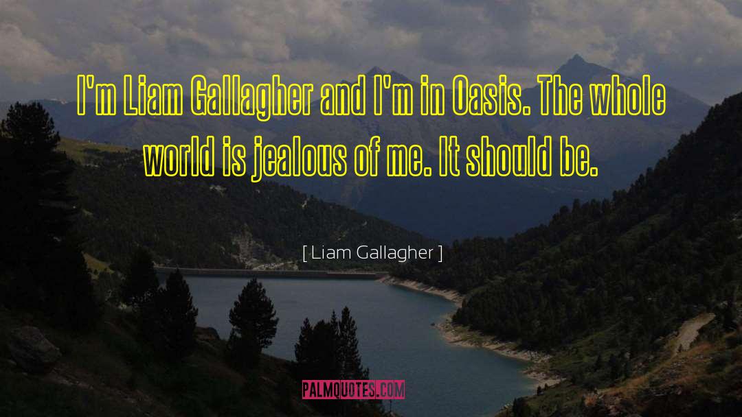Jealous Of Me quotes by Liam Gallagher