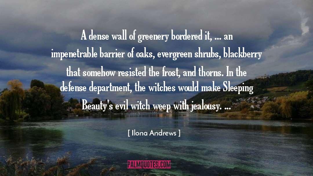 Jealousy quotes by Ilona Andrews