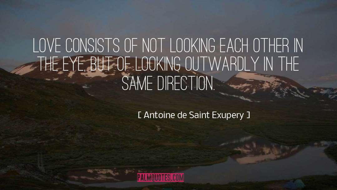 Jefatura De Gabinete quotes by Antoine De Saint Exupery