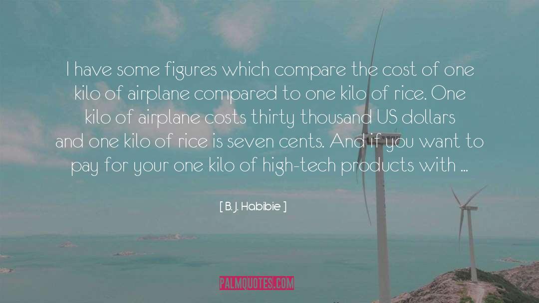 Jefferson Airplane quotes by B. J. Habibie