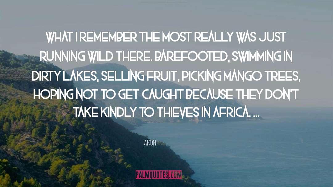 Jeffster Africa quotes by Akon