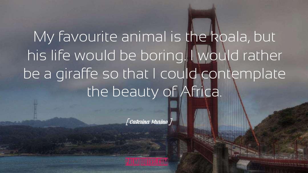 Jeffster Africa quotes by Caterina Murino