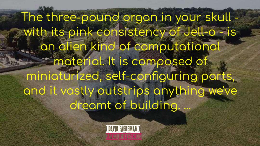 Jell O quotes by David Eagleman