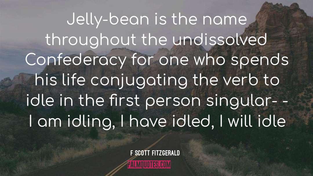 Jelly Bean quotes by F Scott Fitzgerald
