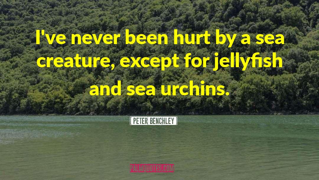 Jellyfish quotes by Peter Benchley