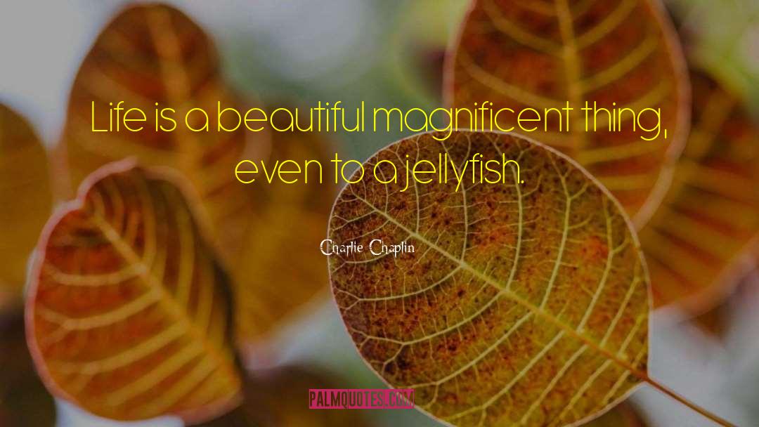 Jellyfish quotes by Charlie Chaplin