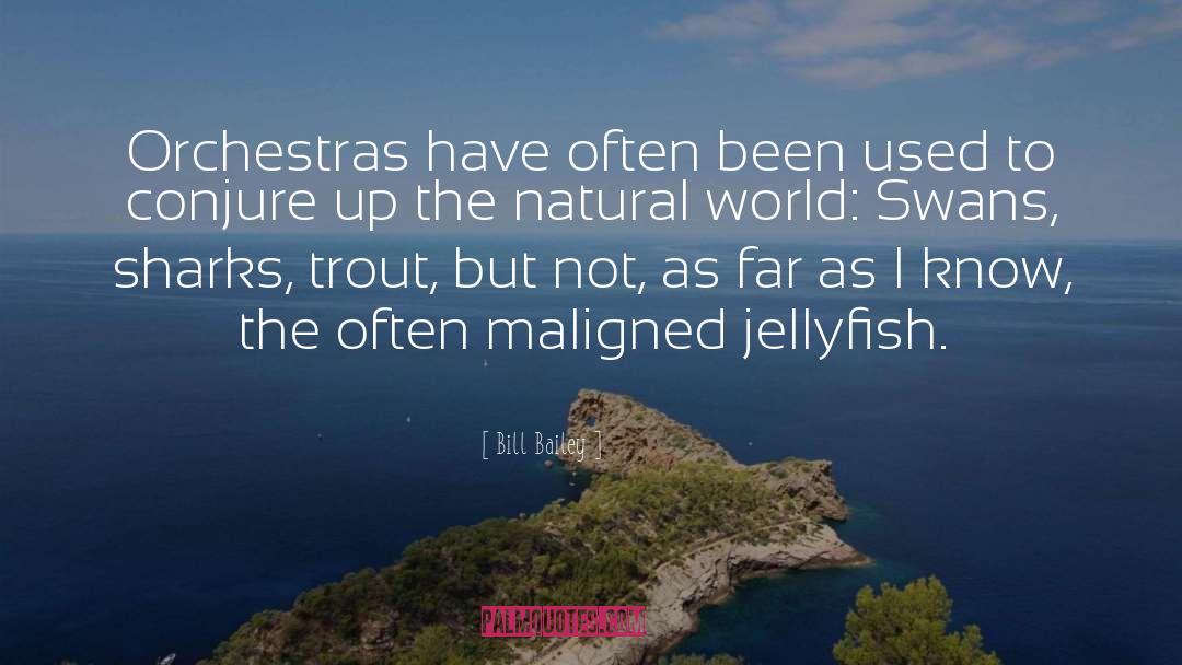 Jellyfish quotes by Bill Bailey