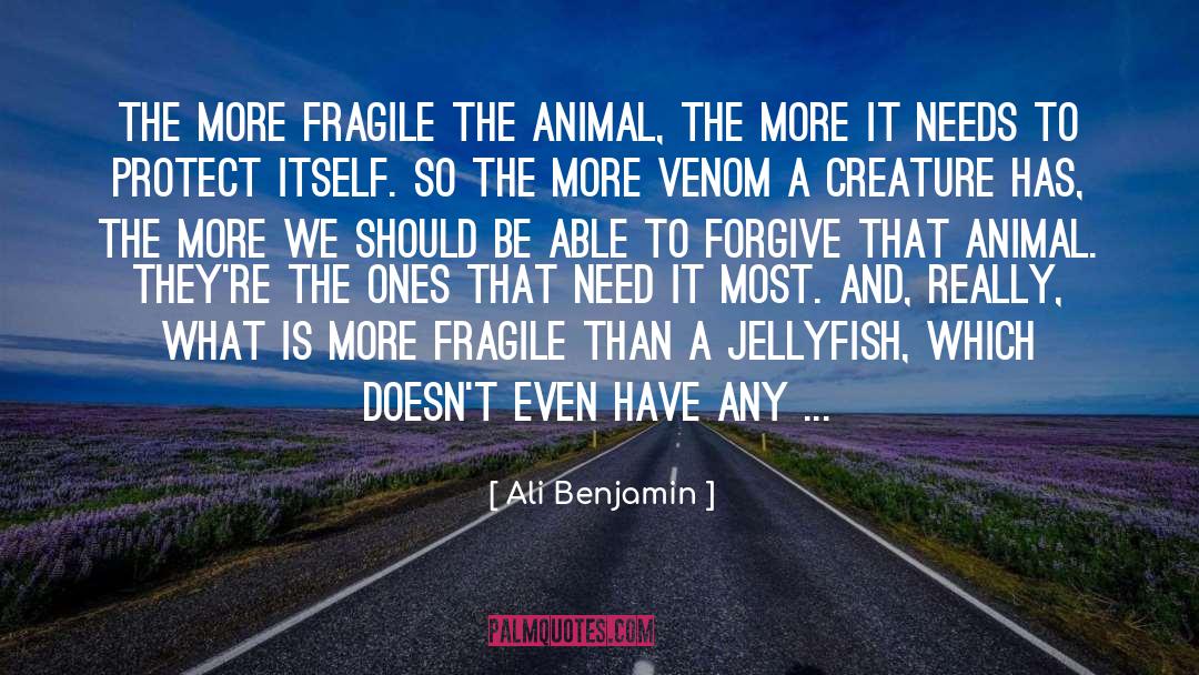 Jellyfish quotes by Ali Benjamin