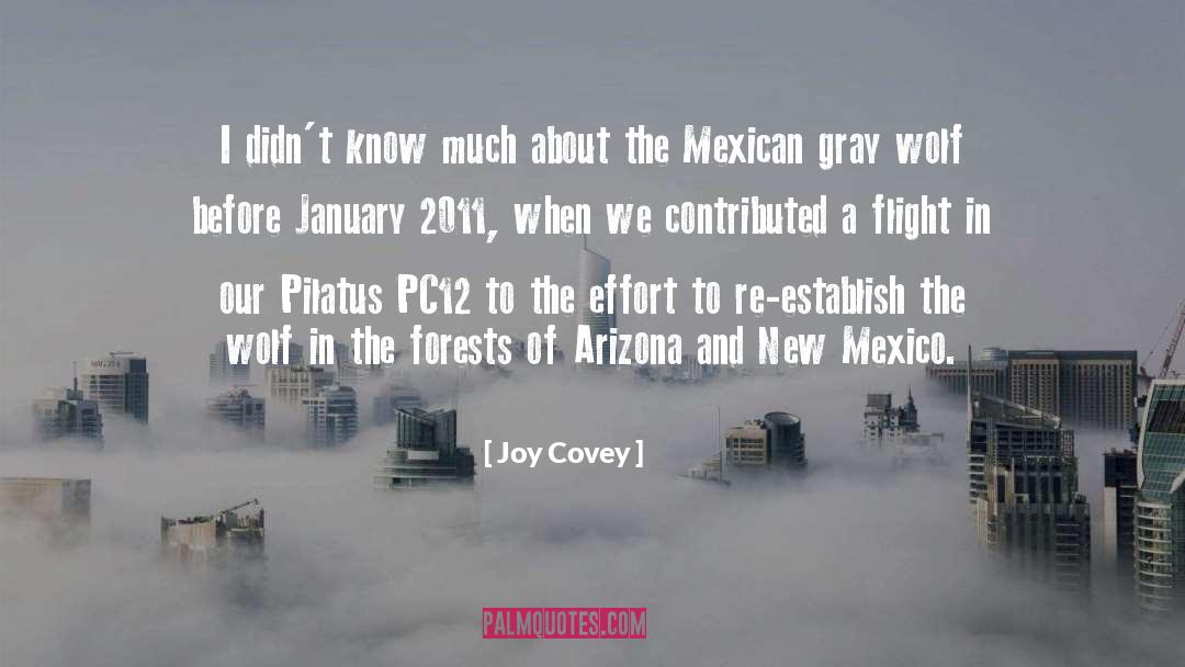 Jentschura Mexico quotes by Joy Covey