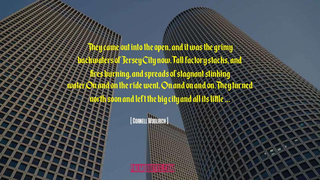 Jersey City quotes by Cornell Woolrich