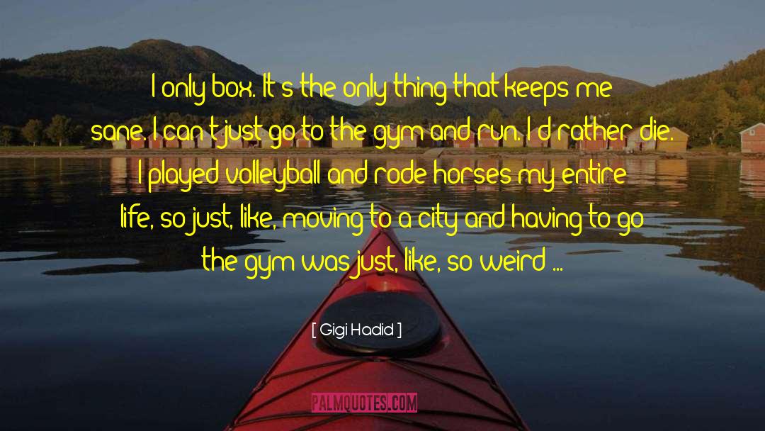 Jersey City quotes by Gigi Hadid