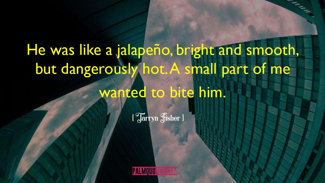 Jesse Dangerously quotes by Tarryn Fisher