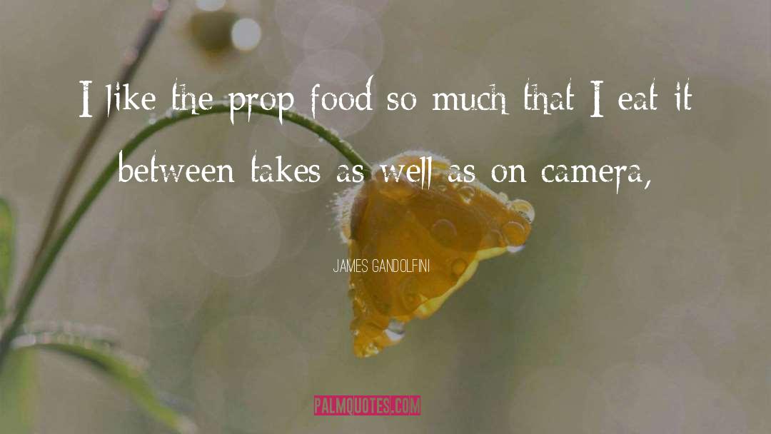 Jesse James quotes by James Gandolfini