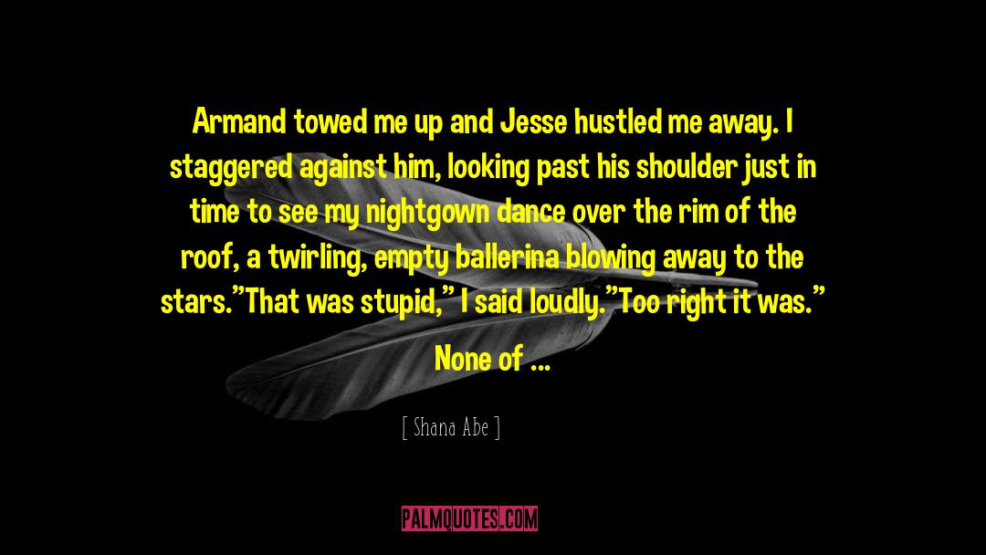 Jesse Wilder quotes by Shana Abe