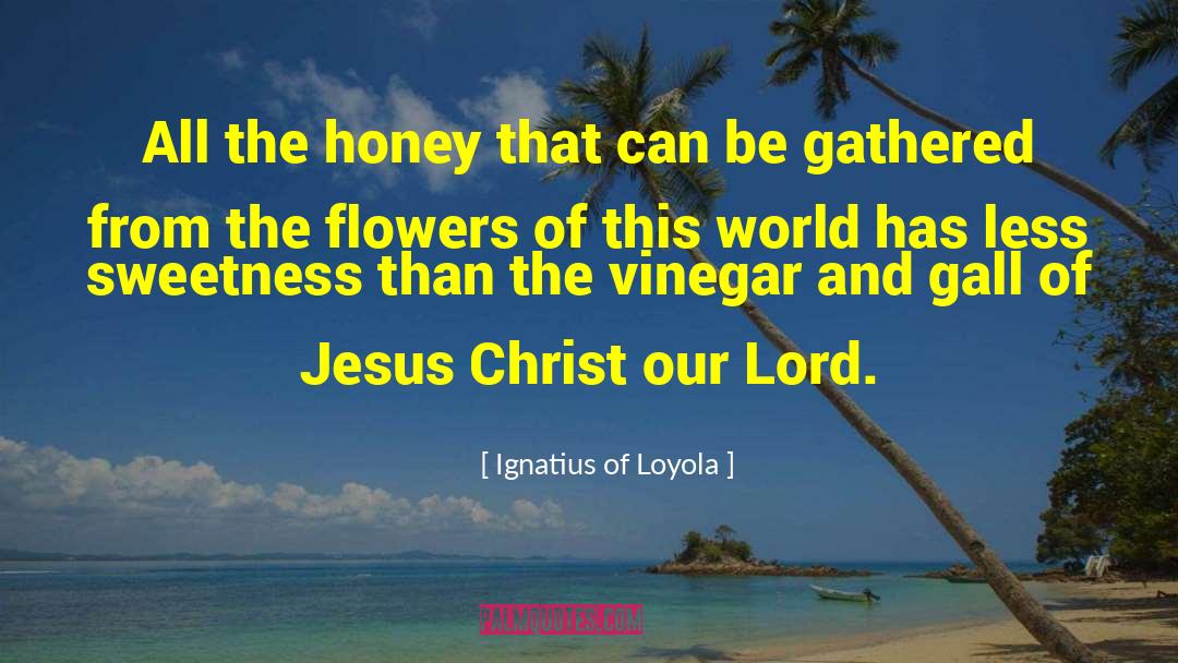 Jesus Christ And Christmas quotes by Ignatius Of Loyola