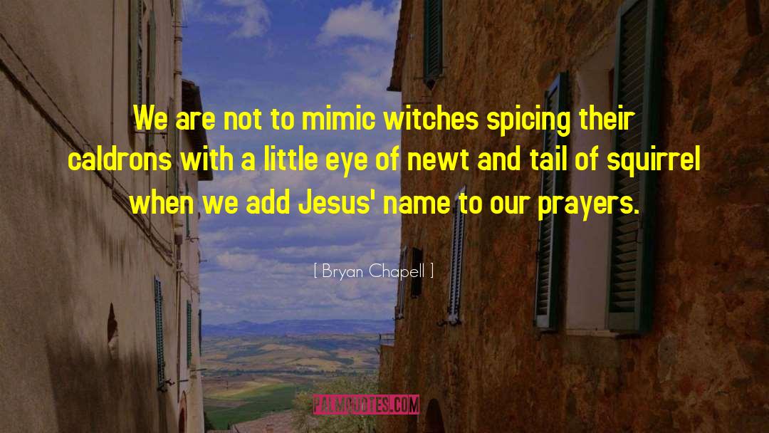 Jesus Name quotes by Bryan Chapell