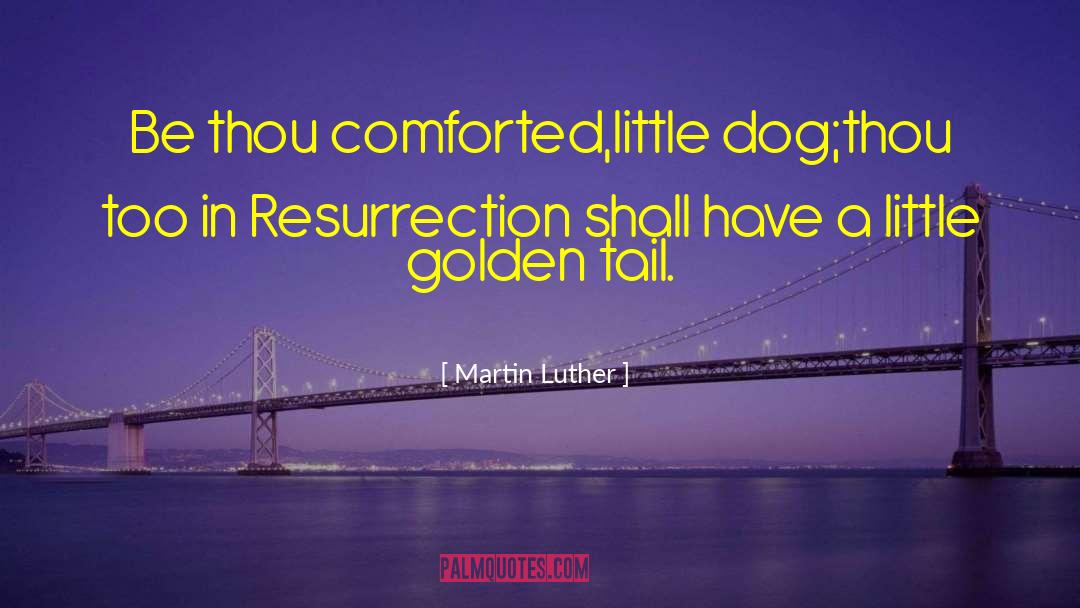 Jesus Resurrection quotes by Martin Luther