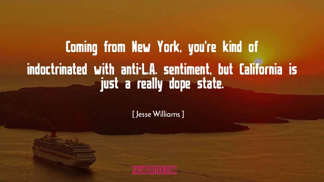 Jesus Smoking Dope quotes by Jesse Williams