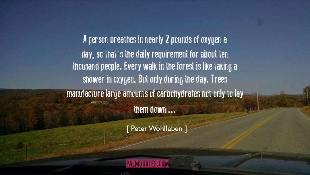 Jet Fuel quotes by Peter Wohlleben