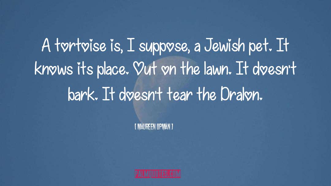 Jewish quotes by Maureen Lipman