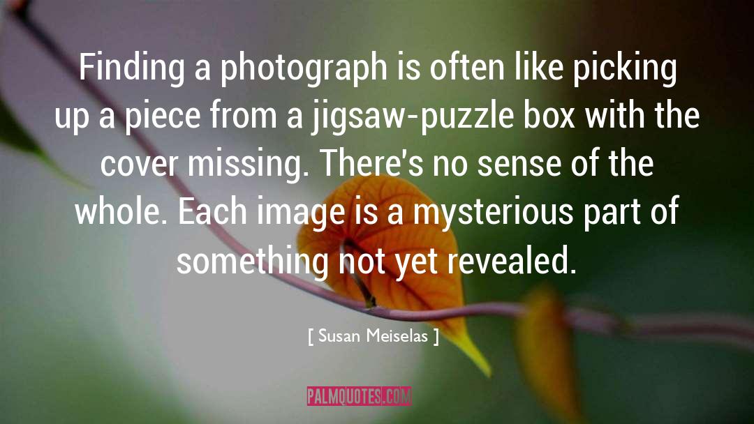Jigsaw Puzzle quotes by Susan Meiselas